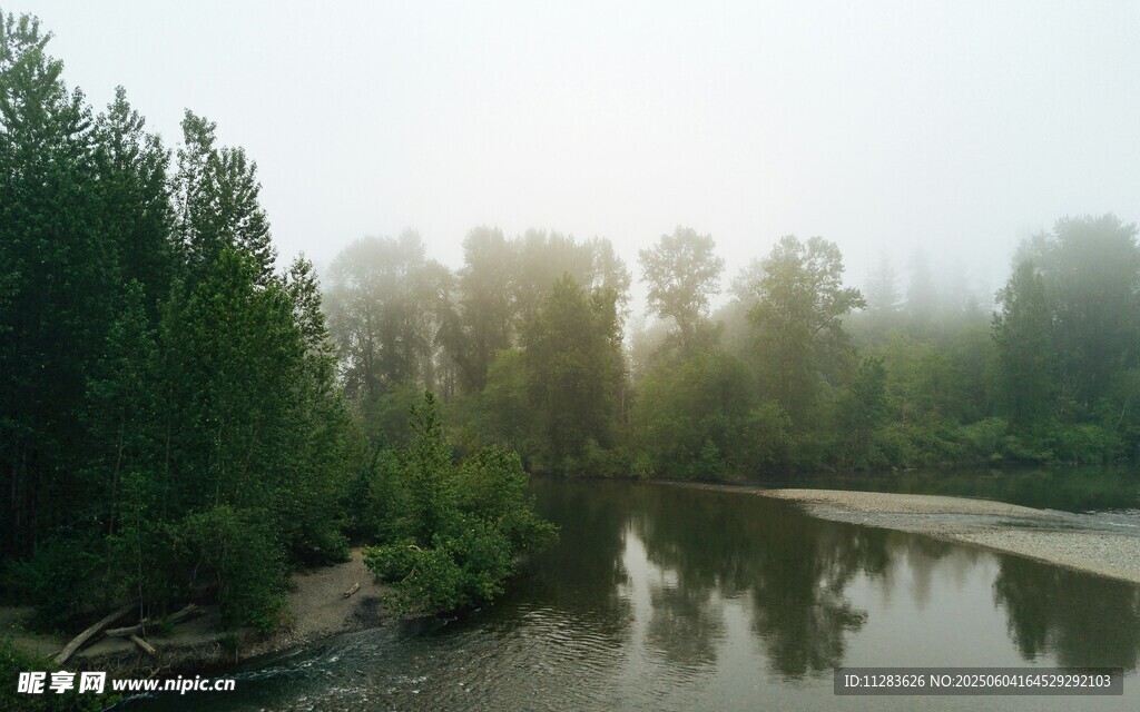 晨霧中的河畔樹林美景