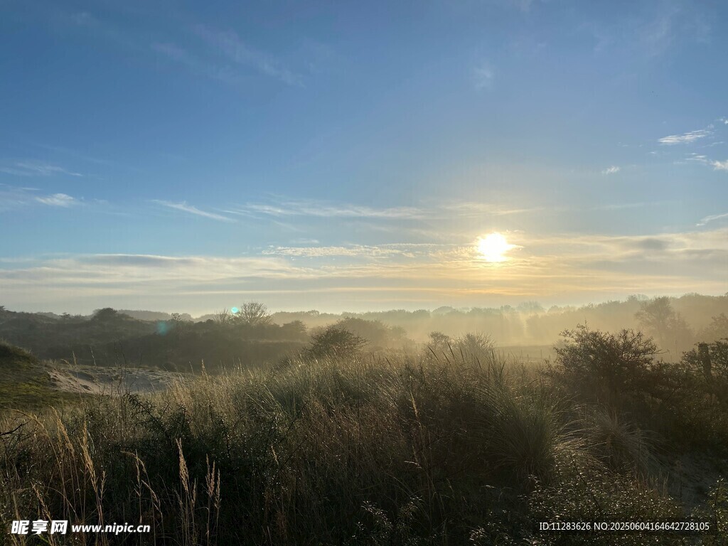 日出時(shí)分的草地美景
