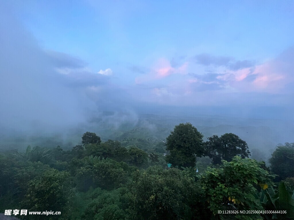 山林晨霧中的夢幻景致