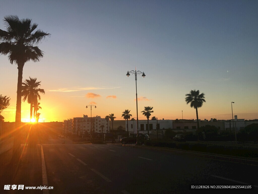 夕陽下的棕櫚樹道路景觀