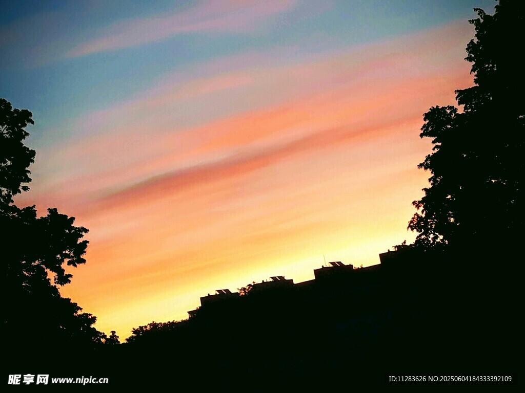 黃昏時(shí)分的樹林與絢麗天空