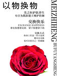 玫瑰