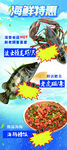 海鮮
