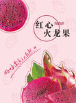 紅心火龍果 