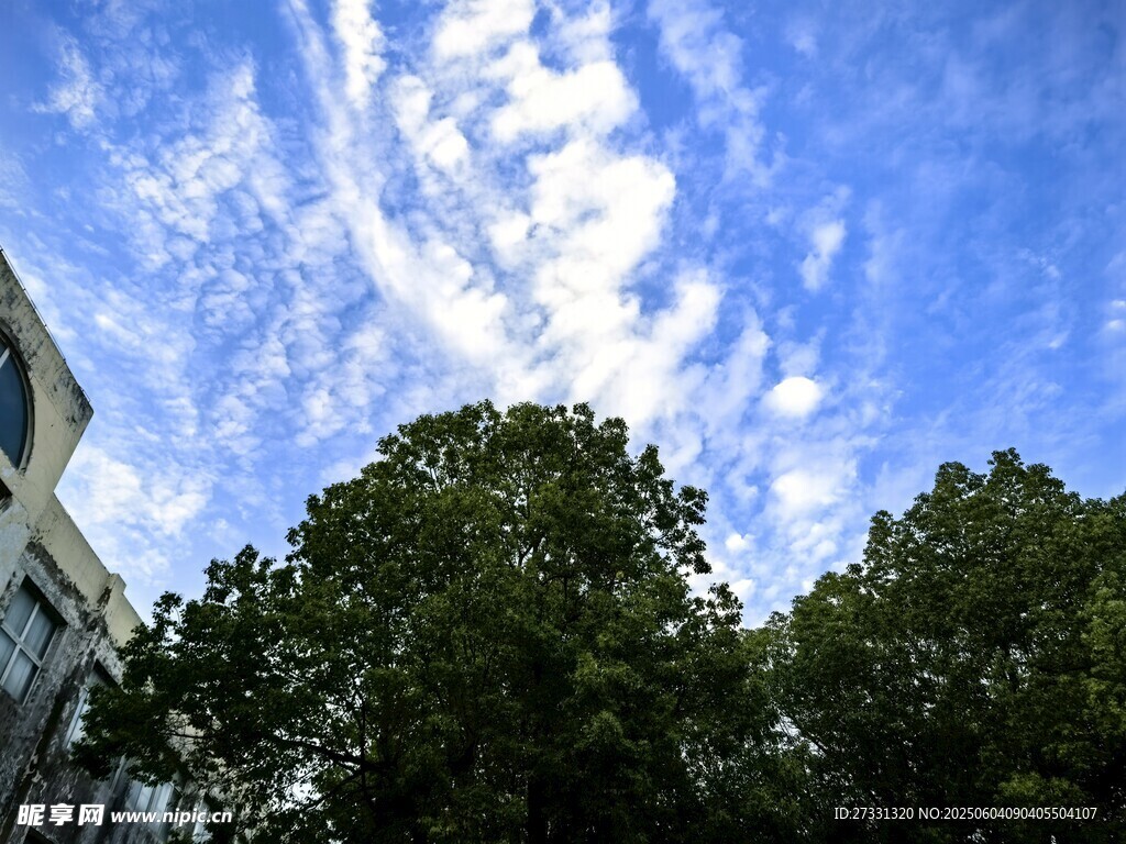 藍(lán)天綠樹(shù)間的美好景致