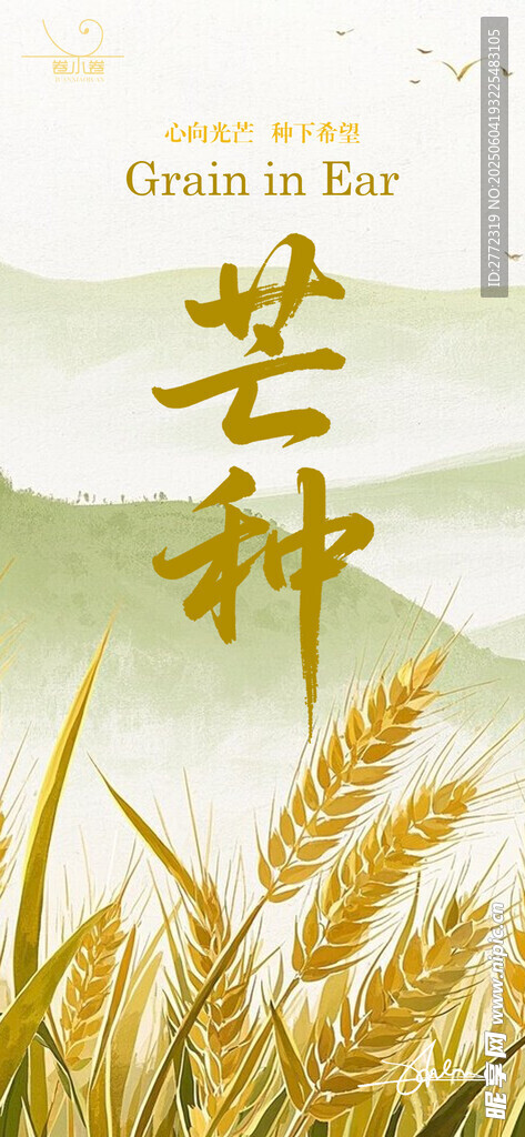 芒種時節麥田景象