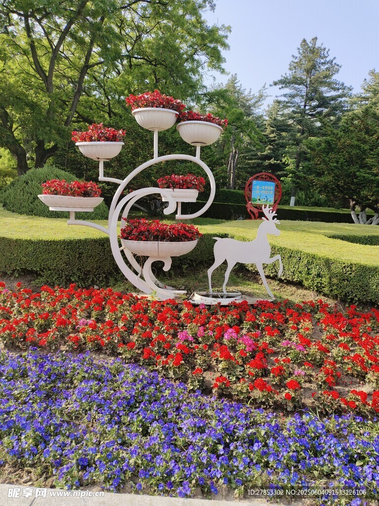 花園中的精美立體花卉景觀