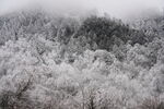 雪覆山林美景