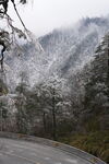 雪覆山林間的蜿蜒公路