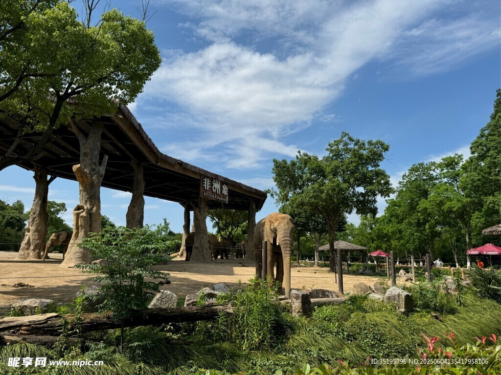 園林涼亭美景