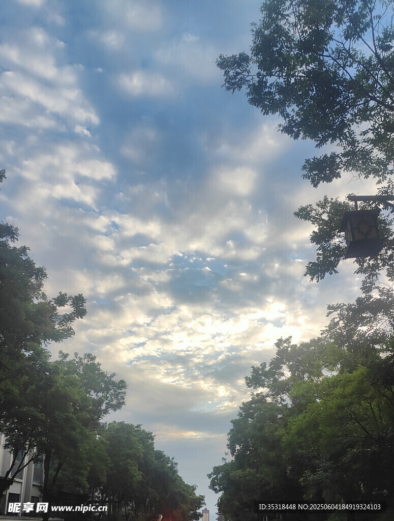 林間天空的夢幻云彩