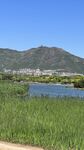 湖畔綠野青山美景