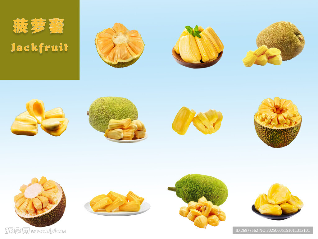  菠蘿蜜 