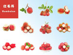 紅毛丹