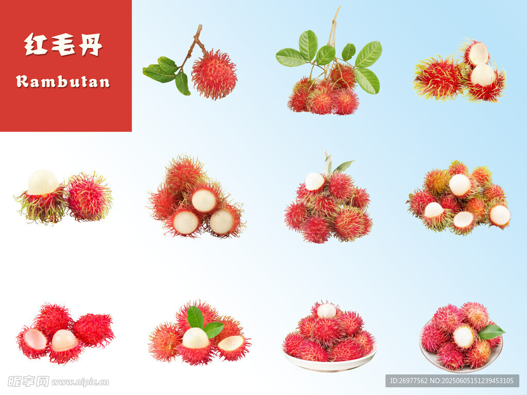 紅毛丹