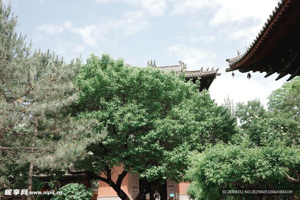 山西 華嚴寺