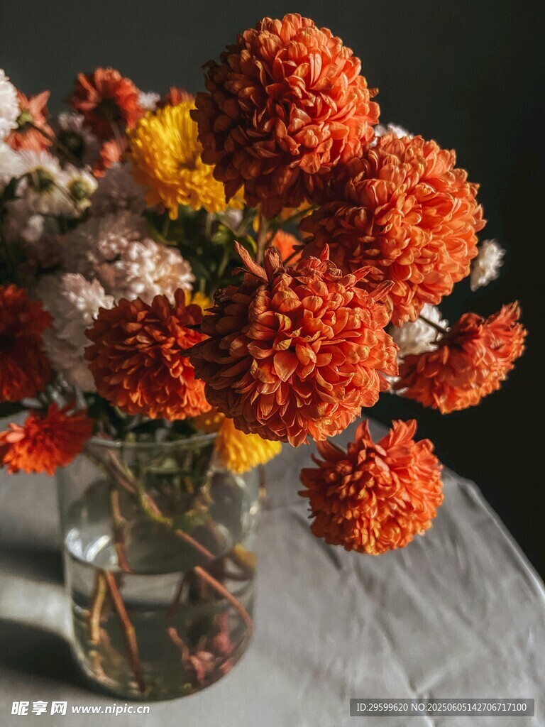 橙色系瓶插花卉靜物