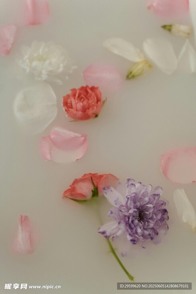 水中繽紛花卉與花瓣