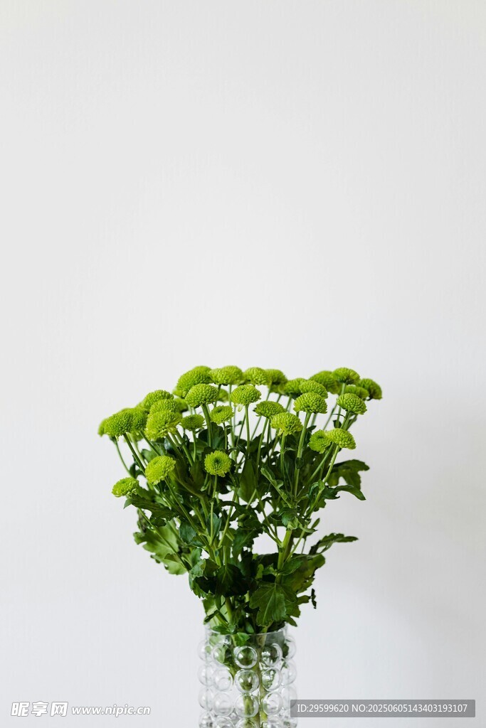 花瓶中的翠綠植物