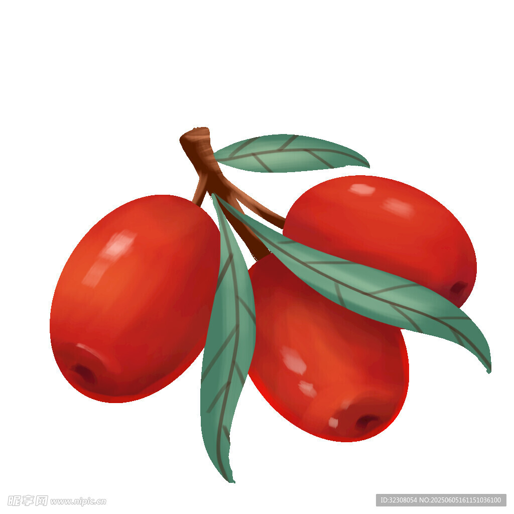 枝頭紅枸杞 綠葉相伴