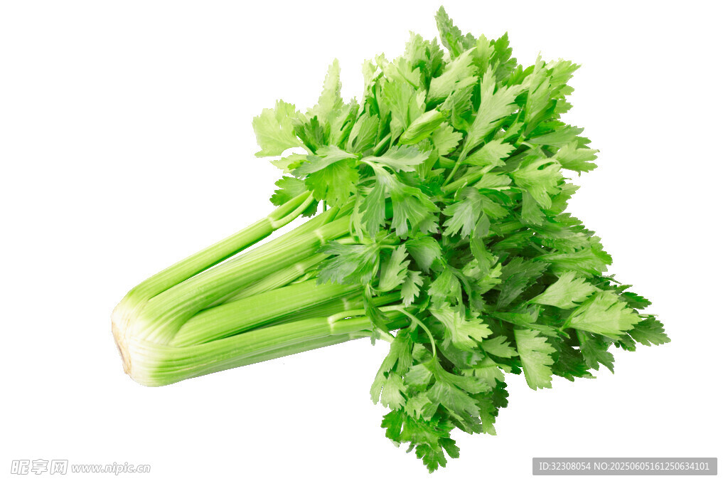 新鮮翠綠芹菜特寫