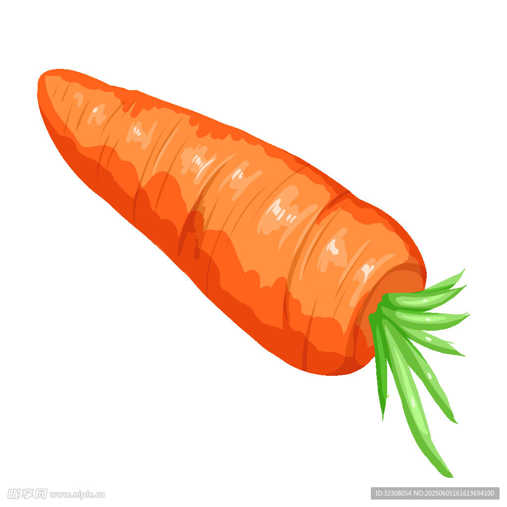 橙色胡蘿卜插畫