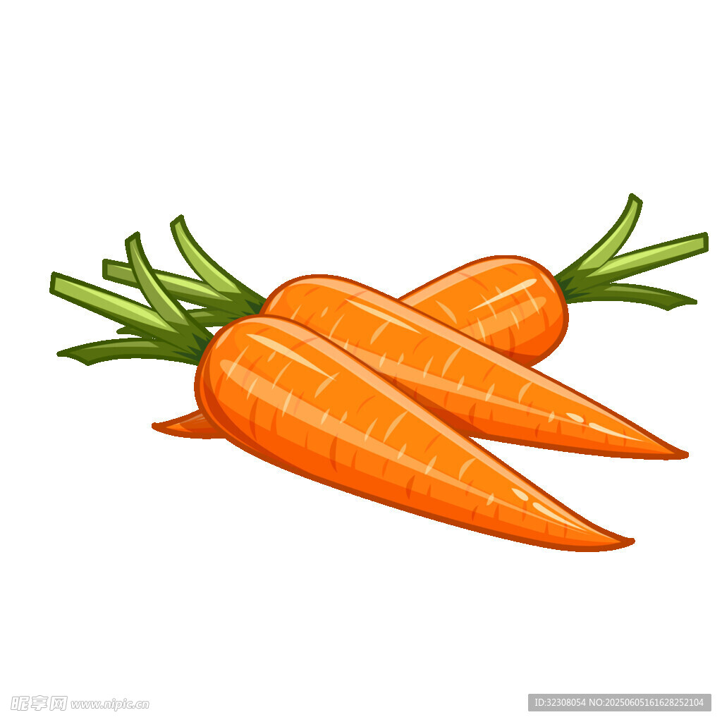 三根鮮胡蘿卜插畫