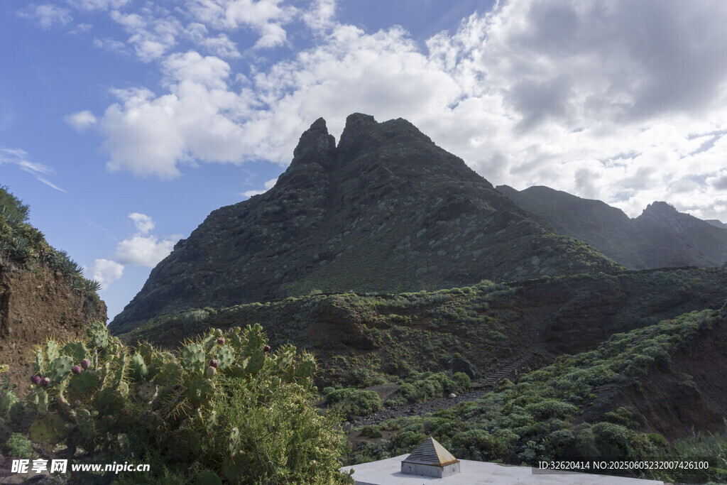 青山 植被 