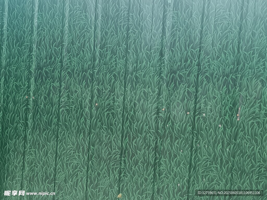 紋理
