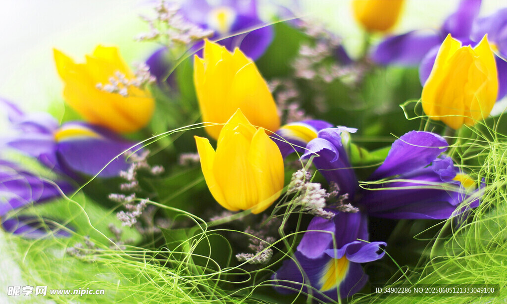 多彩郁金香花束