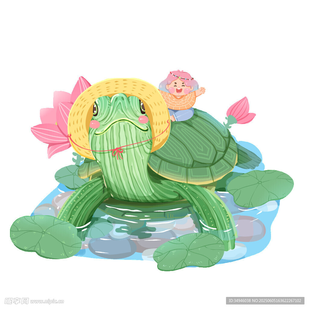 可愛綠龜伴小鳥浮于蓮葉