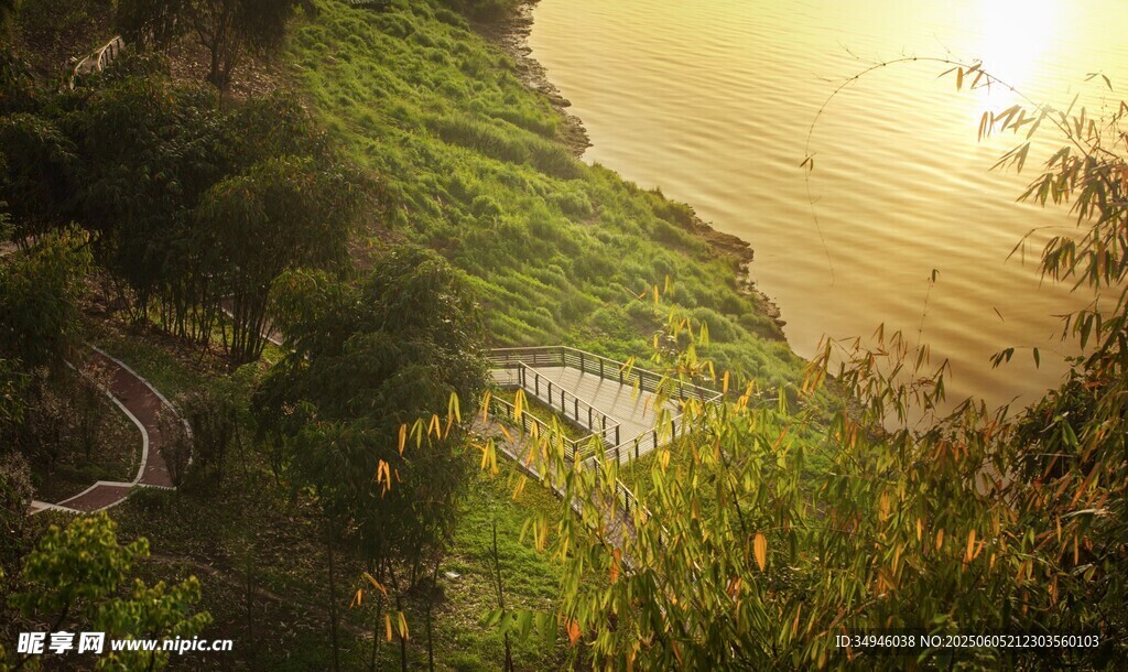 夕陽下的河畔綠意景觀