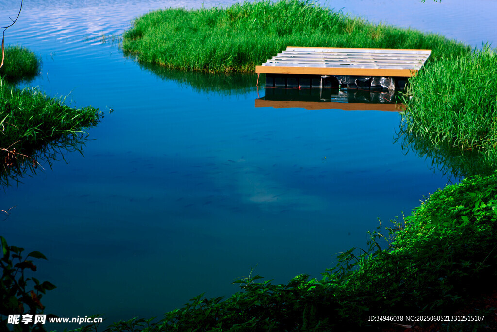 寧靜湖中小屋與蔥郁綠植