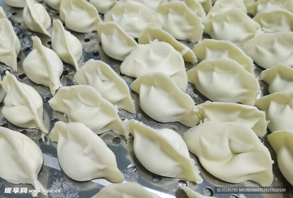 手工餃子整齊排列