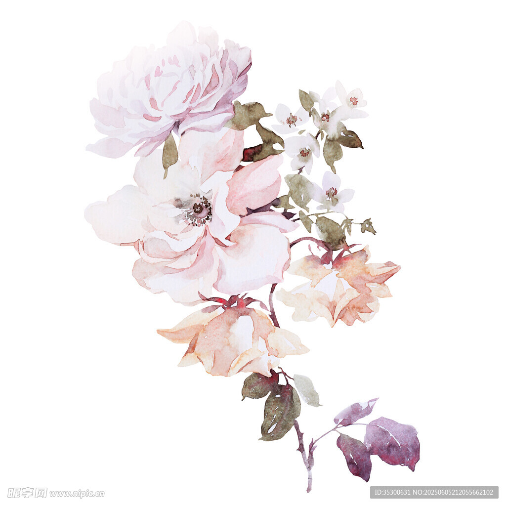 淡粉水彩花卉插畫