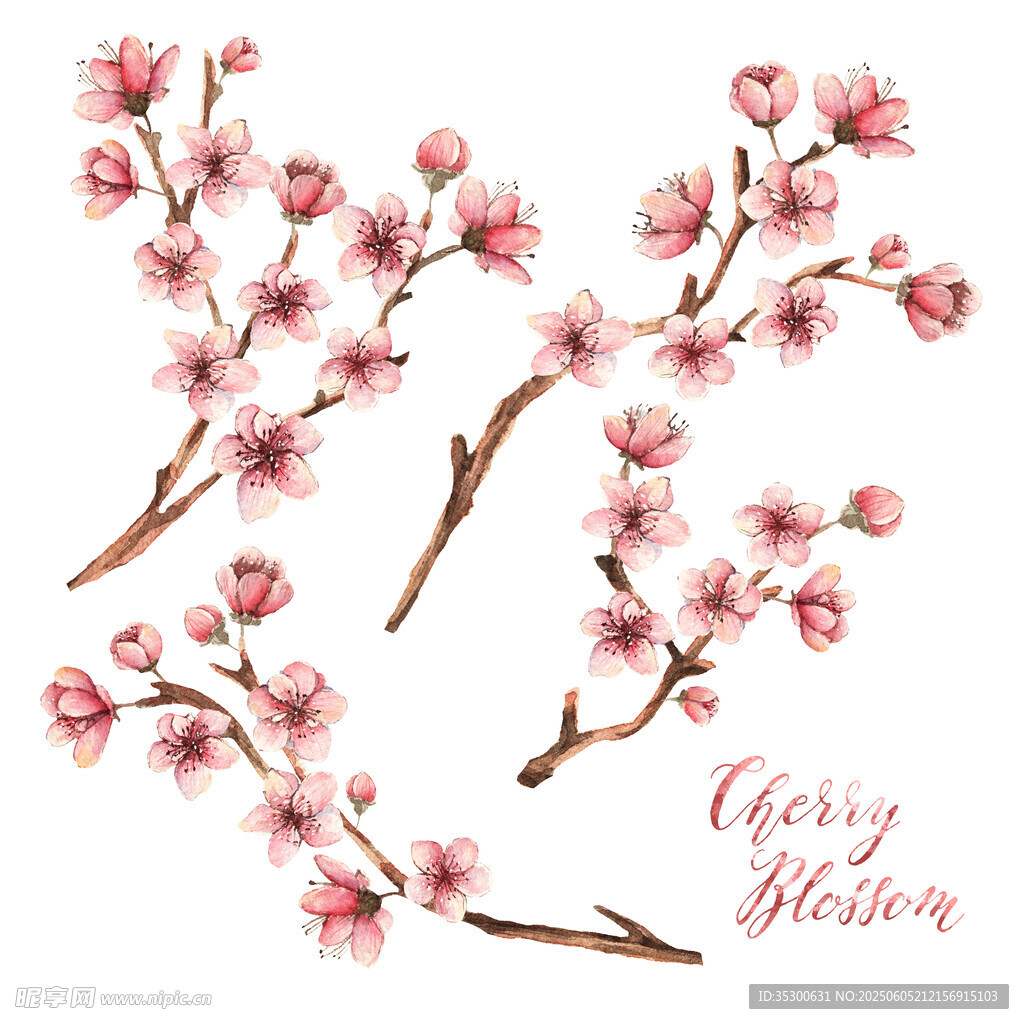 水彩風粉色桃花枝插畫