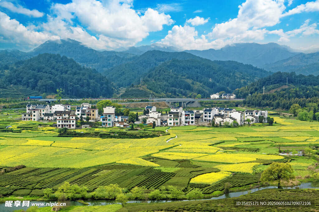 田園村落美景