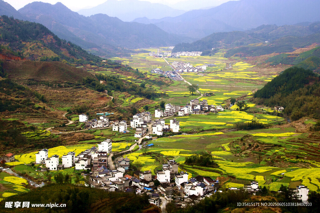 山間村落油菜花田美景