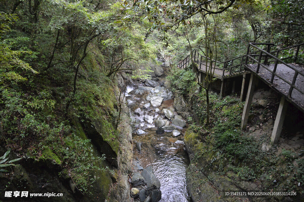 山林間的潺潺溪流與棧道