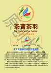 羽毛球俱樂部logo