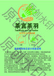 羽毛球俱樂部原創logo