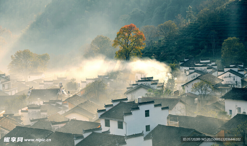山村晨景 一抹秋色入畫來