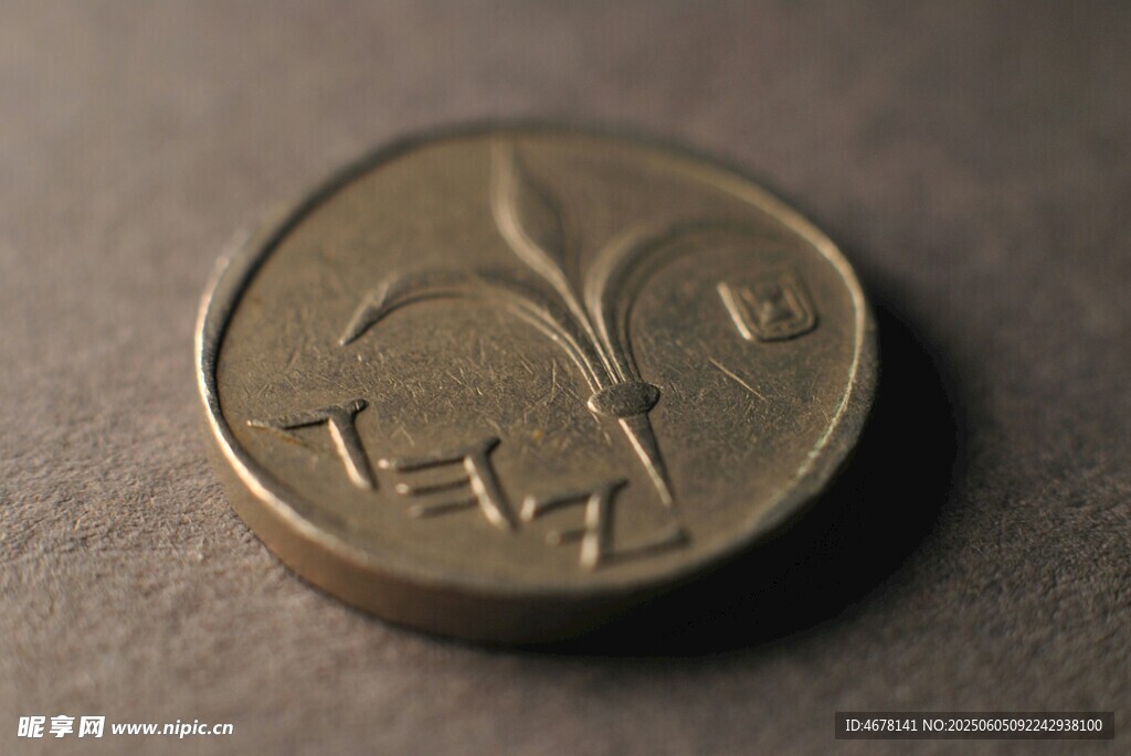 以色列1謝克爾硬幣特寫