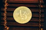 金色TZ標(biāo)志硬幣特寫