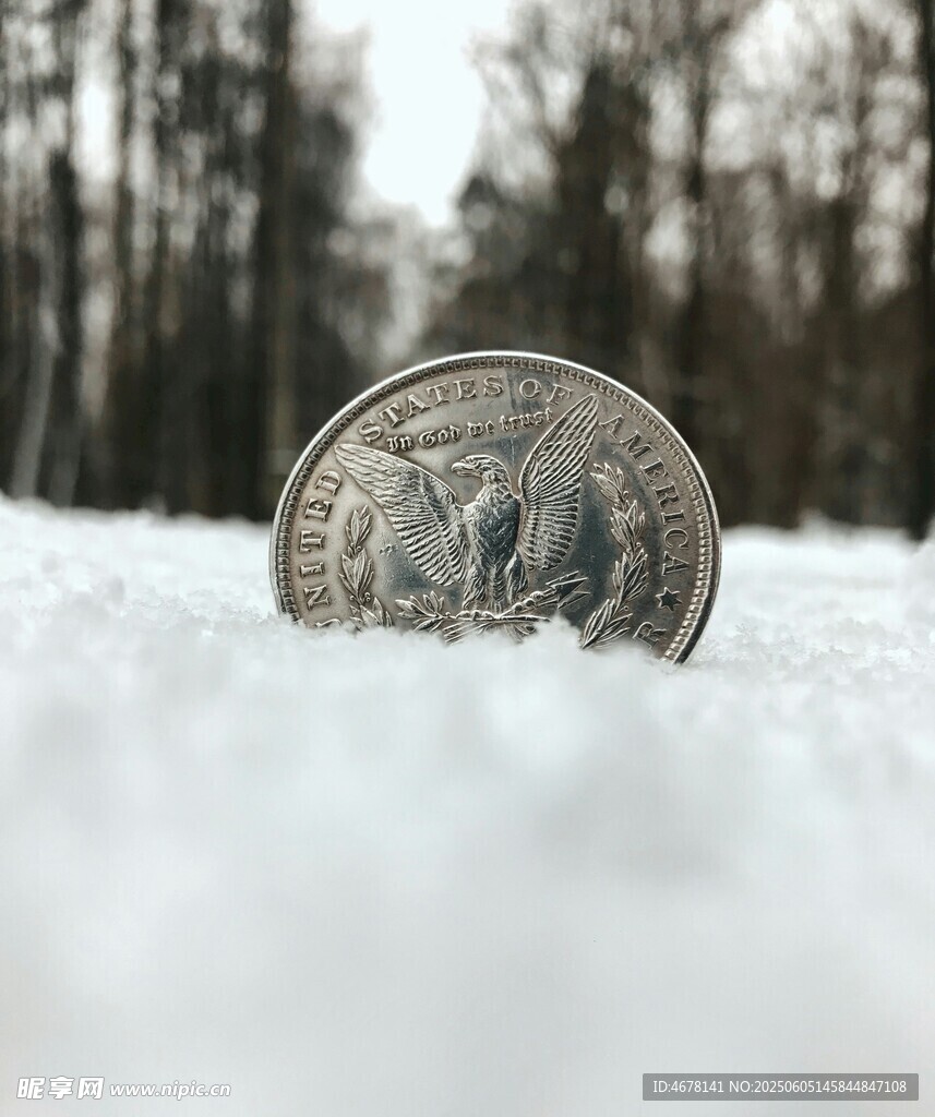 雪地中的硬幣