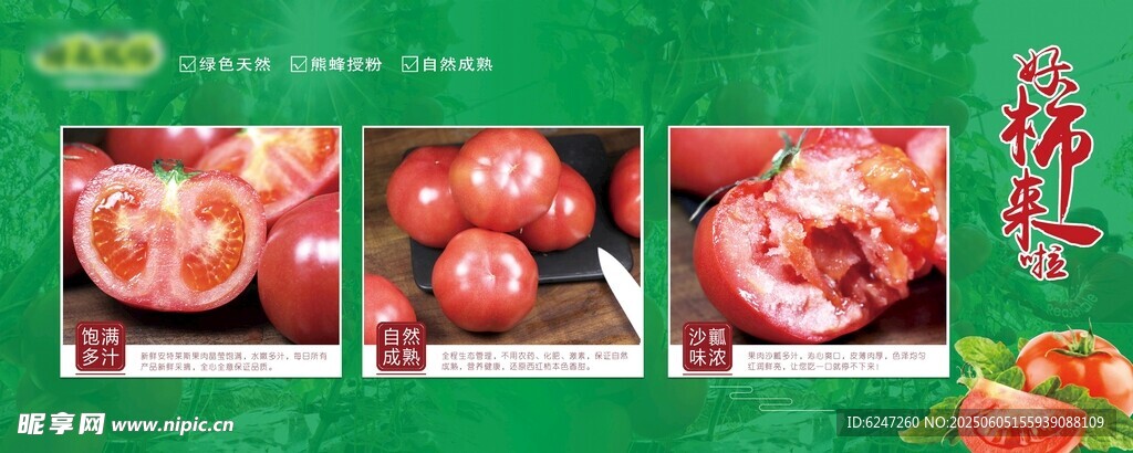 美味番茄展示