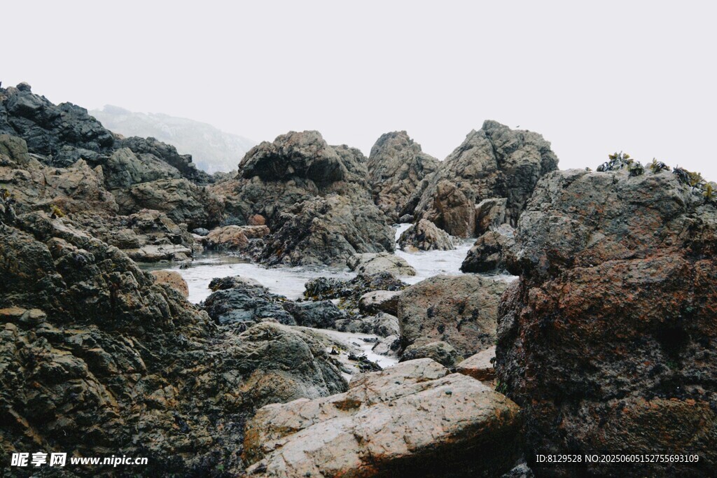 海邊嶙峋礁石與潺潺流水