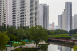 河畔高樓林立的城市景觀
