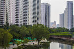河畔高樓林立的城市景觀
