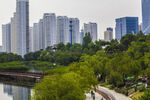 城市湖畔綠樹高樓美景
